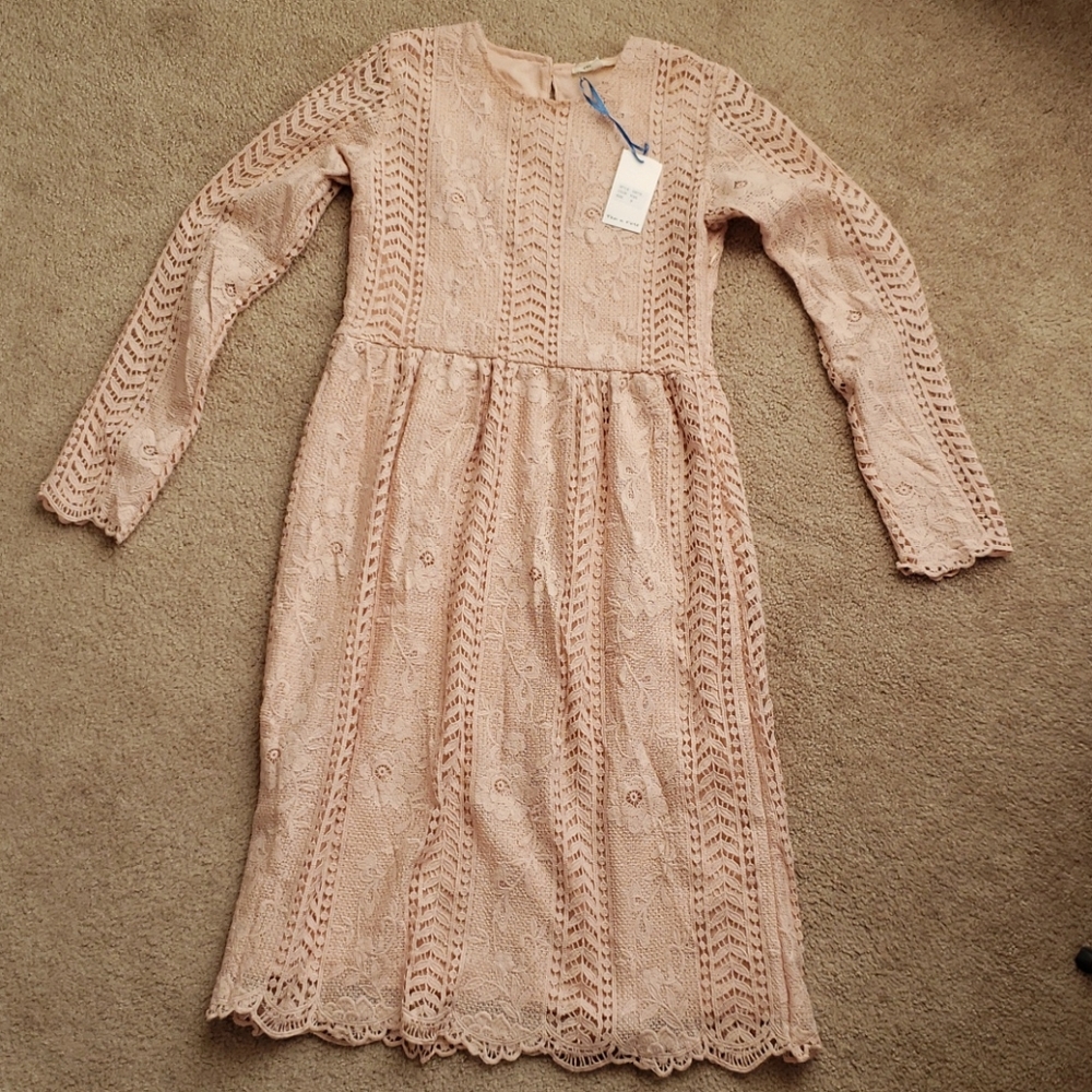NWT Roolee blush lace dress NWT
